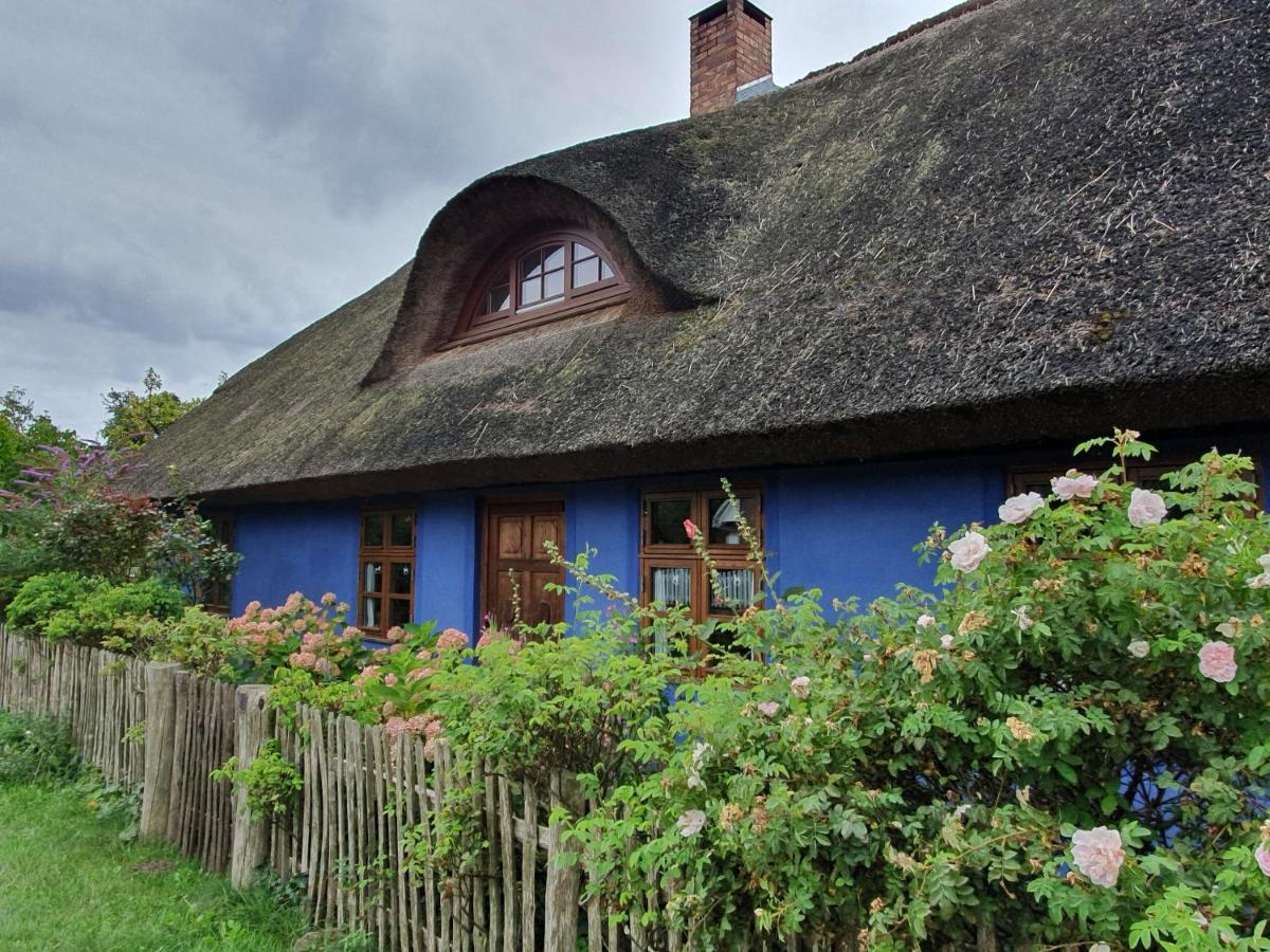 Ferienwohnung Ole Zinnowitz Exterior photo